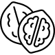 Orzech
